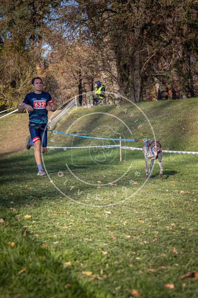 CaniXpix_0L8A8880 | Hundefotografie, Tierfotograf, Pfotenfotografie, Fotoshooting Hund, Hunde Portrait, Hundesport, Hundeportraits, Heideshooting, Hunde, Sportfotograf, Hundefotograf, Turnierhundsport, THS,  - Realisiert mit Pictrs.com