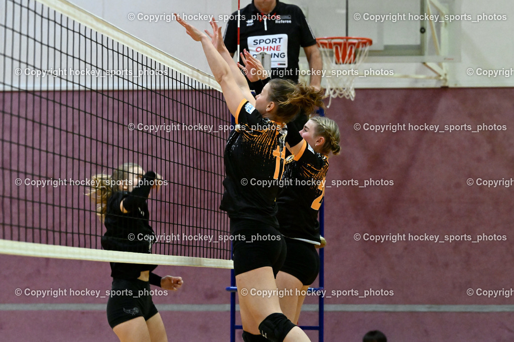 ASKÖ Volley Eagles vs. VCH Hausmannstätten 26.10.2023 | #11 MAUCH Samira, #25 SCHULER Chiara