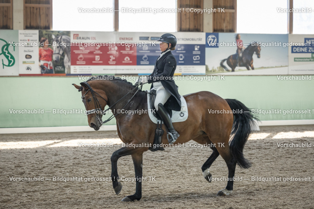 _D5A9971 | Emotionale Pferde- & People-Fotografie rund um Heidelberg, Leimen & Umgebung. Natürliche Fotos von Pferd, Mensch & Familie. Jetzt Termin sichern!