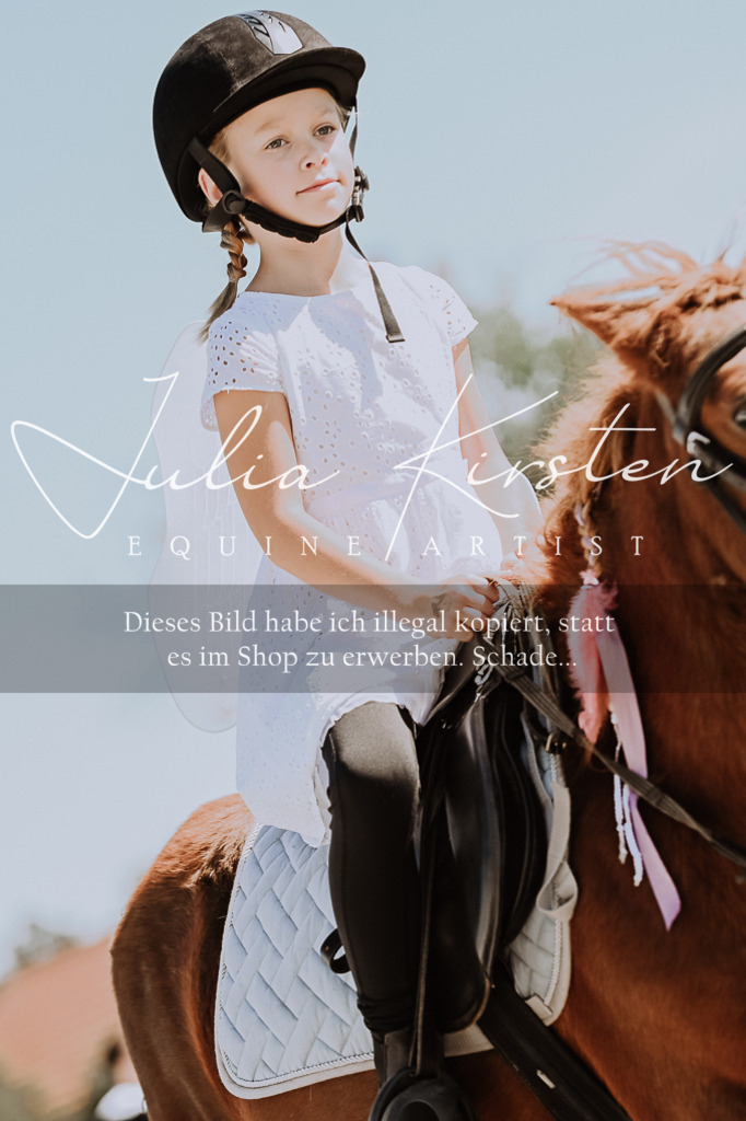 DSC_8877 | Pferde- und Turnierfotografie in Westsachsen. Pferdeportraits, Auftragszeichnungen und intuitive Kunst.
