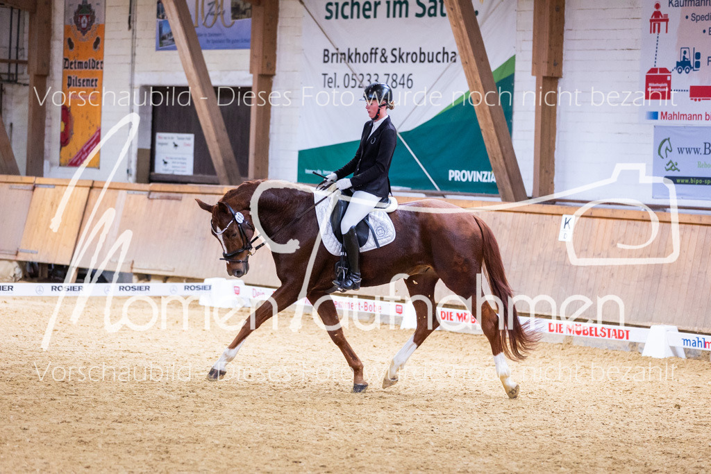 Sth-A-Dre-2St-165 | MomenTaufnahmen Pferdesportfotos