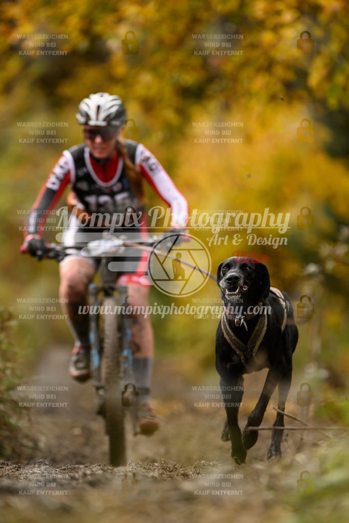 MompixPhotography_ICF_WC_2024_SA_Bike_-140 | PayLife