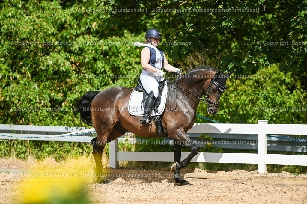 20230715_02_Dressurreiterprüfung Kl.L_0372 | equistock