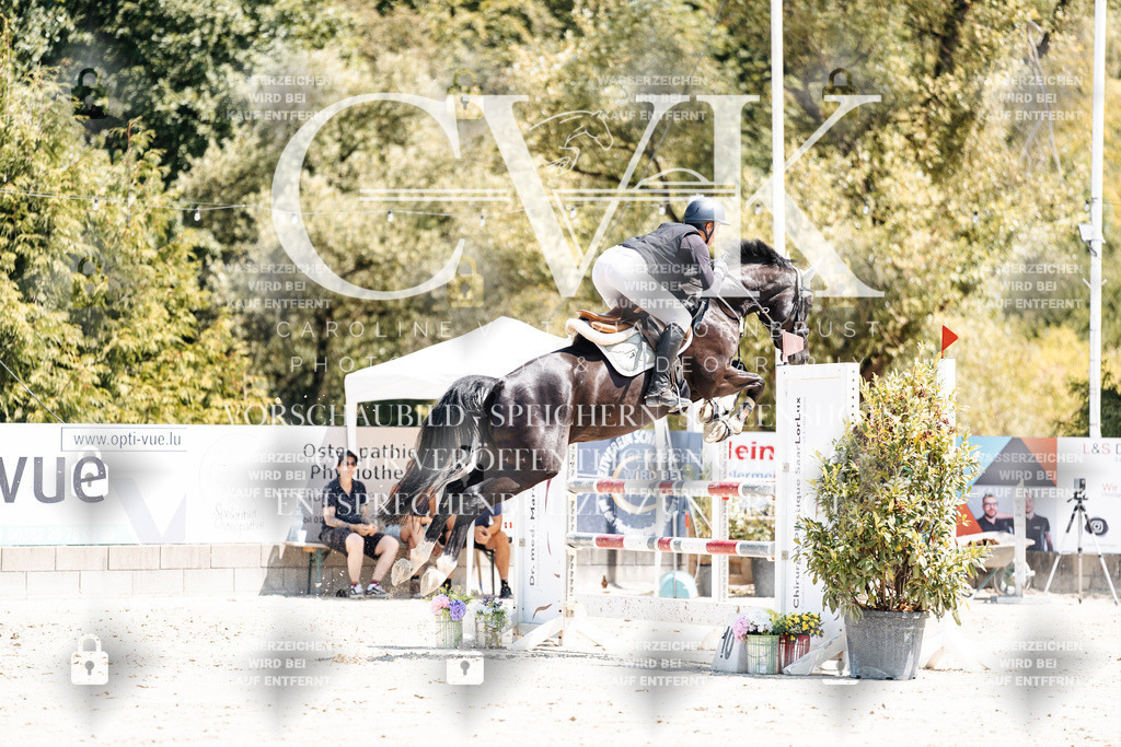 CK900184 | Turnierfotografie Pferdefotografie Trier Rheinland-Pfalz Pferdesport Reitsport Tierfotografie Sportfotografie Pferdevideo Pferdevideografie Equestrianvideography equestrianphotography  - Realisiert mit Pictrs.com