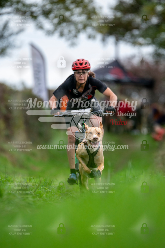TSB_2023_E8_Bike-25 | PayLife