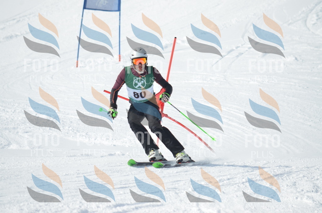 D9004 | holidayphoto