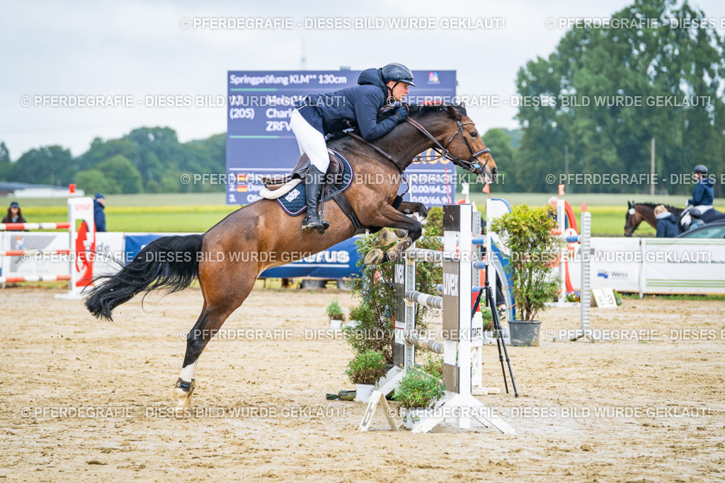 DSC03809 | Pferdegrafie