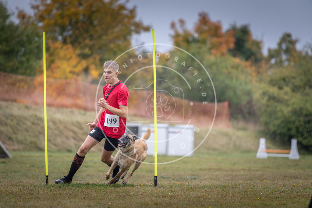 Pfotenfotografie_DV3A1184 | Hundefotografie, Tierfotograf, Pfotenfotografie, Fotoshooting Hund, Hunde Portrait, Hundesport, Hundeportraits, Heideshooting, Hunde, Sportfotograf, Hundefotograf, Turnierhundsport, THS,  - Realisiert mit Pictrs.com