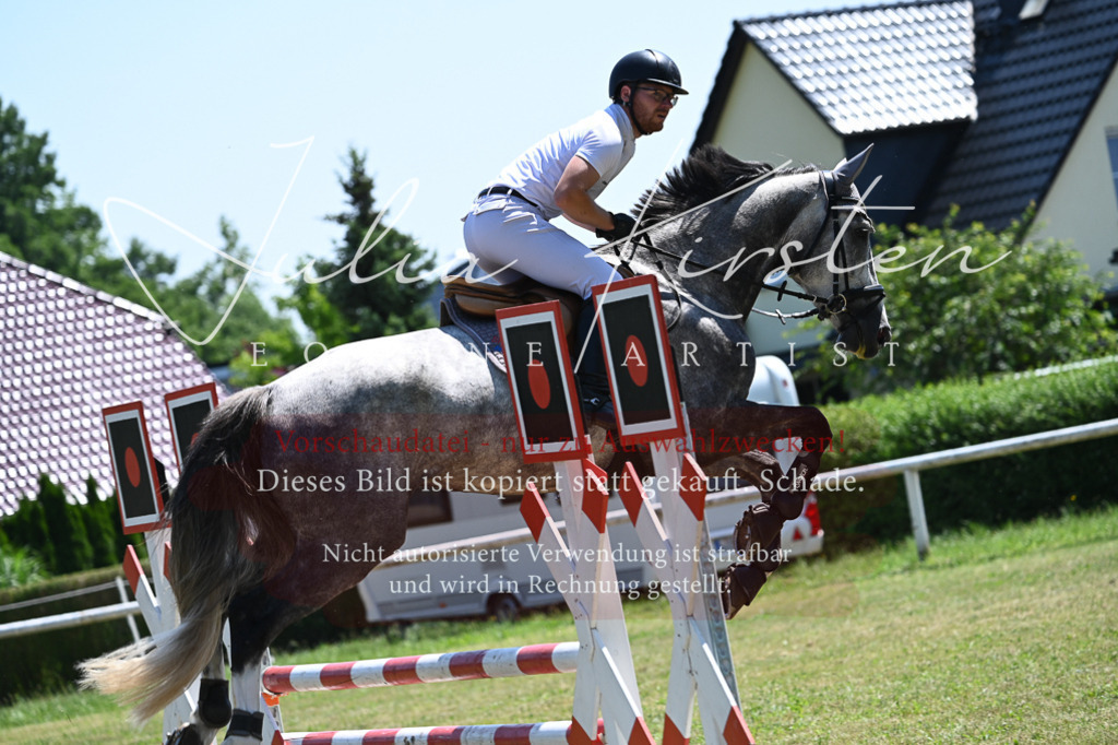 DSC_0549 | Pferde- und Turnierfotografie in Westsachsen. Pferdeportraits, Auftragszeichnungen und intuitive Kunst.