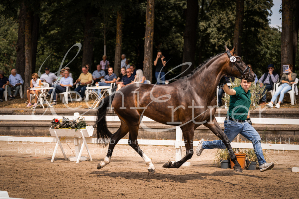 2. Fr00113 | Leoni Ertmer Photography - Realisiert mit Pictrs.com