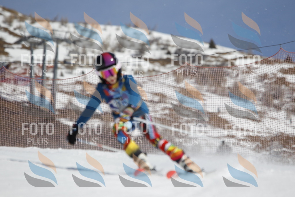 _U3G0654 | holidayphoto