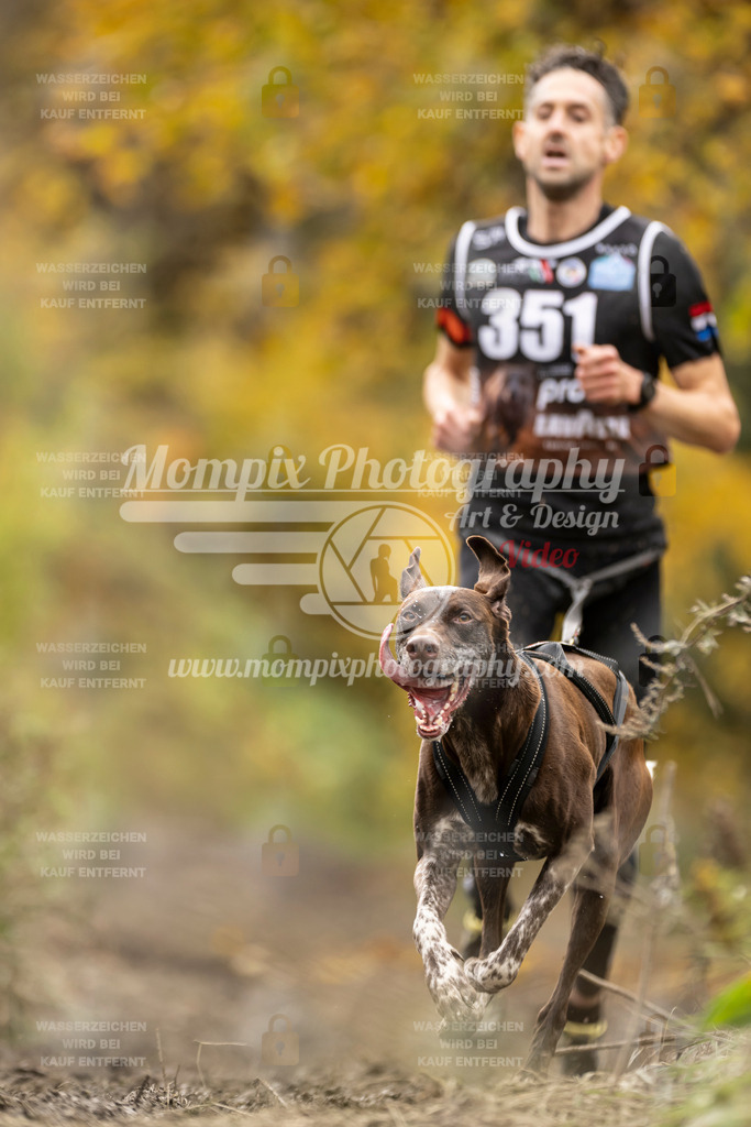MompixPhotography_ICF_WC_2024_SA_Run_-267 | PayLife
