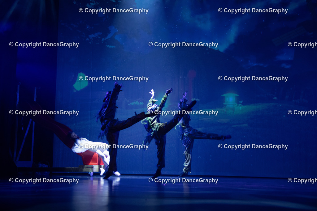 GPHY3357 | DanceGraphy - Realisiert mit Pictrs.com