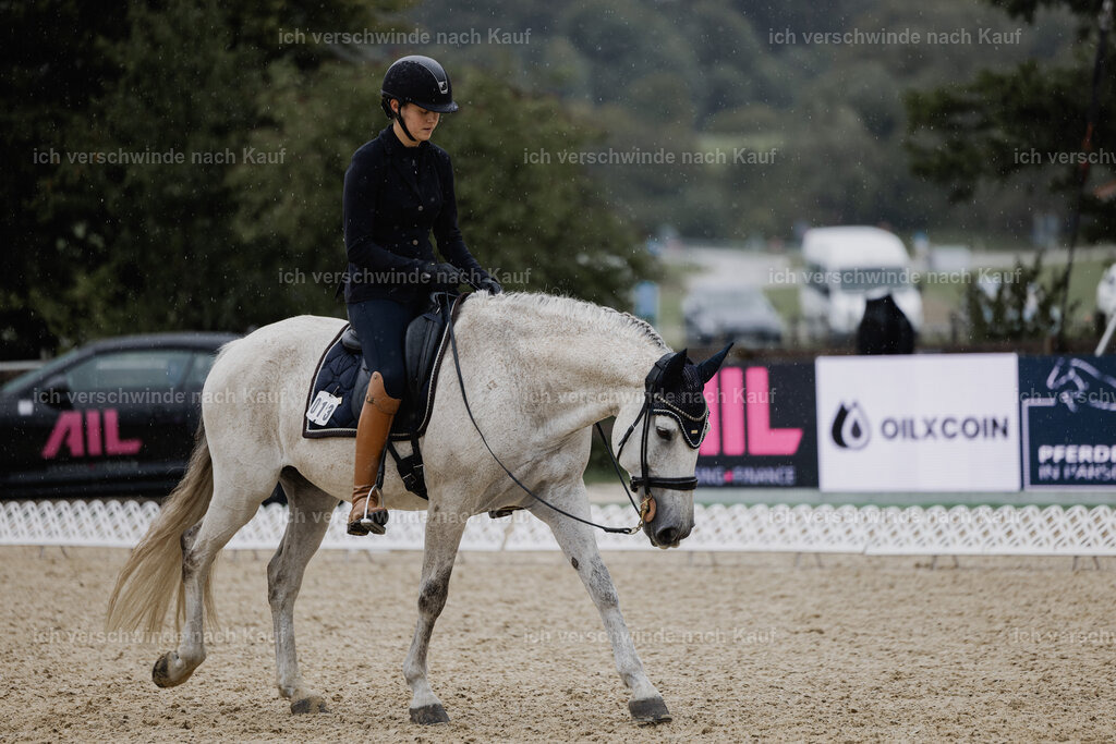 Svea13FHC2025-24662 | working equitationturnier fotograf videograf stoibphotography marixx film working equitation deutschland reitsport turnierfotografie eventfotografie equestrian events