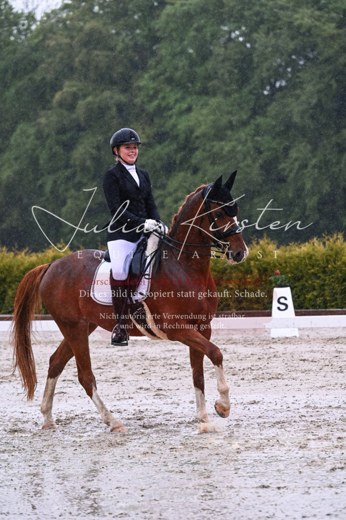 DSC_4638 | Pferde- und Turnierfotografie in Westsachsen. Pferdeportraits, Auftragszeichnungen und intuitive Kunst.