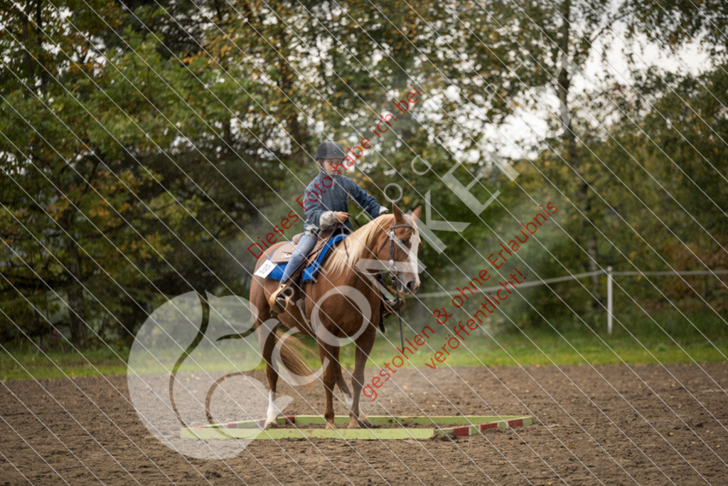 CON_8778 | Sport-, Event- und Tierfotos in Profiqualität. Einfach auswählen, bestellen und herunterladen. Dein Moment – perfekt festgehalten.