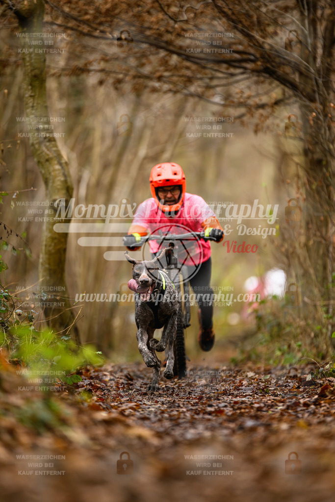 MompixPhotography_Eschau2024_DS1-1 | PayLife