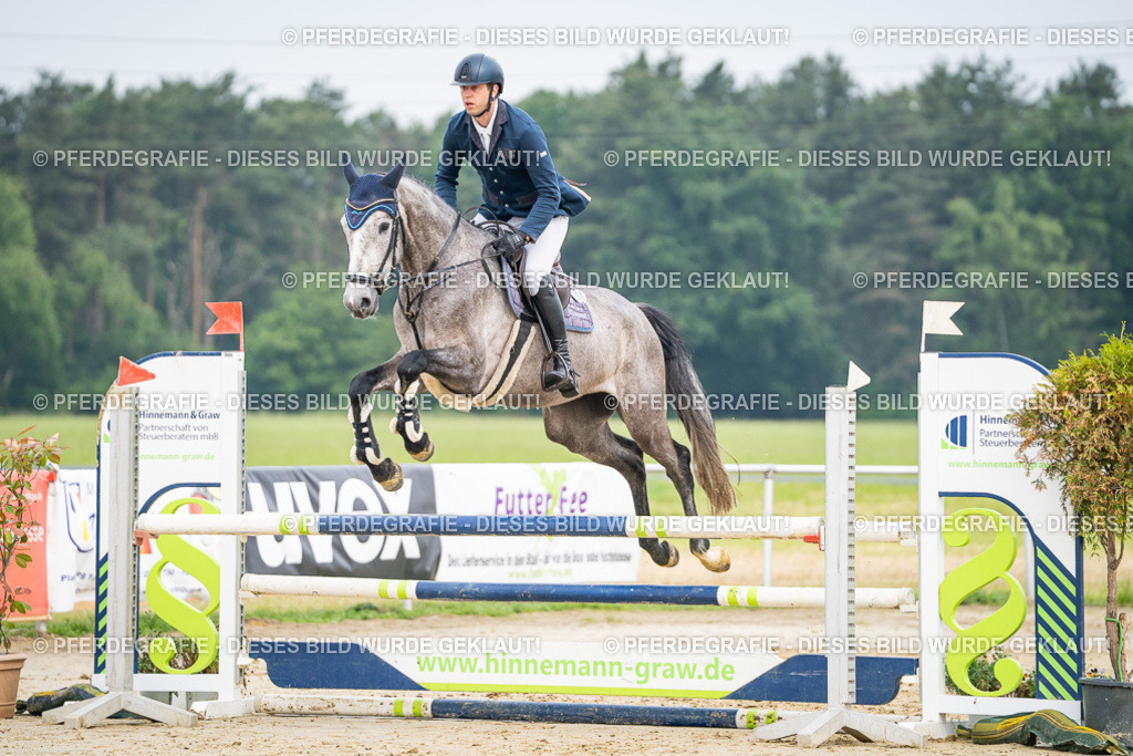 DSC09238 | Pferdegrafie