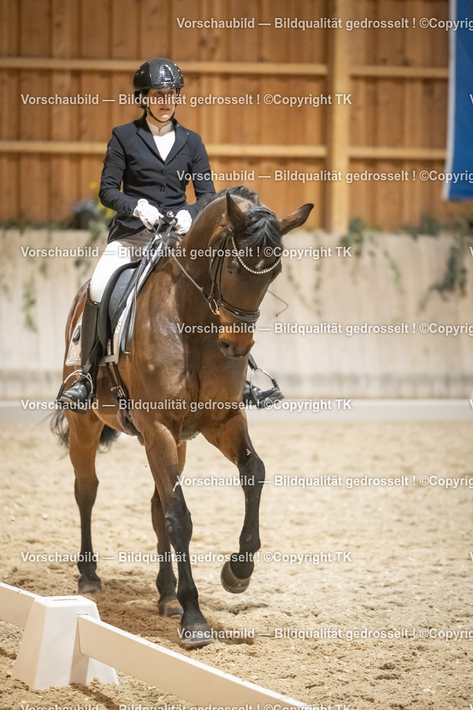 _D5A0737 | Emotionale Pferde- & People-Fotografie rund um Heidelberg, Leimen & Umgebung. Natürliche Fotos von Pferd, Mensch & Familie. Jetzt Termin sichern!