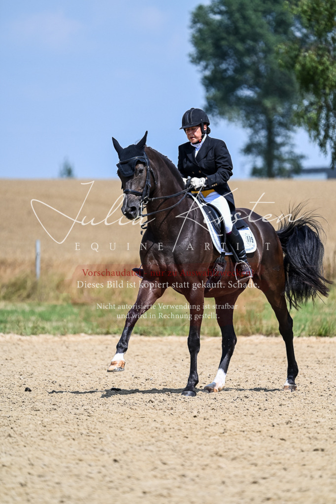DSC_2703 | Pferde- und Turnierfotografie in Westsachsen. Pferdeportraits, Auftragszeichnungen und intuitive Kunst.