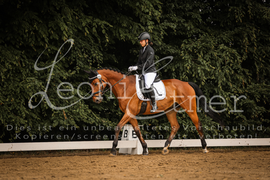 DoDrA00183 | Leoni Ertmer Photography - Realisiert mit Pictrs.com