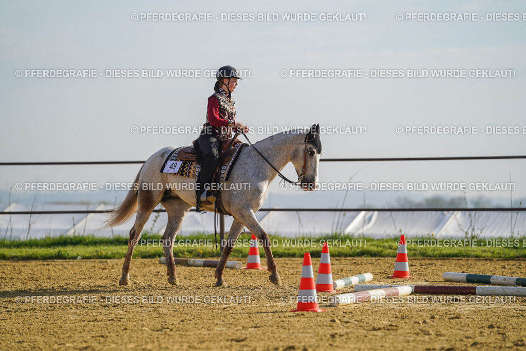 DSC00853 | Pferdegrafie