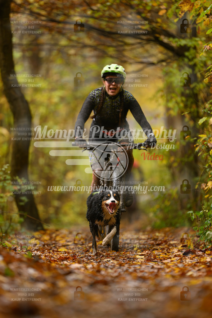 MompixPhotography_CD7S_DI_Bike-13 | mompixphotography
