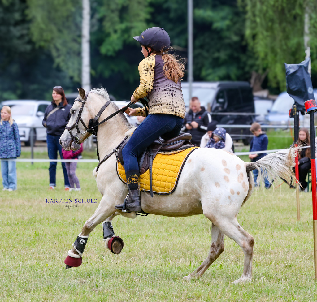 1B3A0270 | Reitsport Reiten