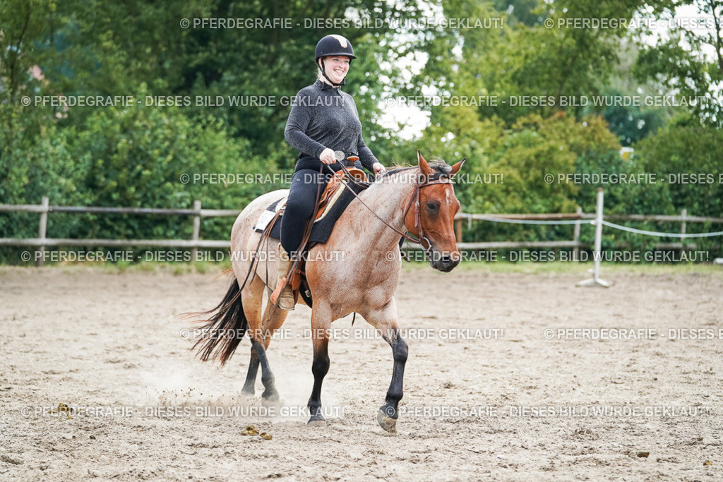 DSC04526 | Pferdegrafie