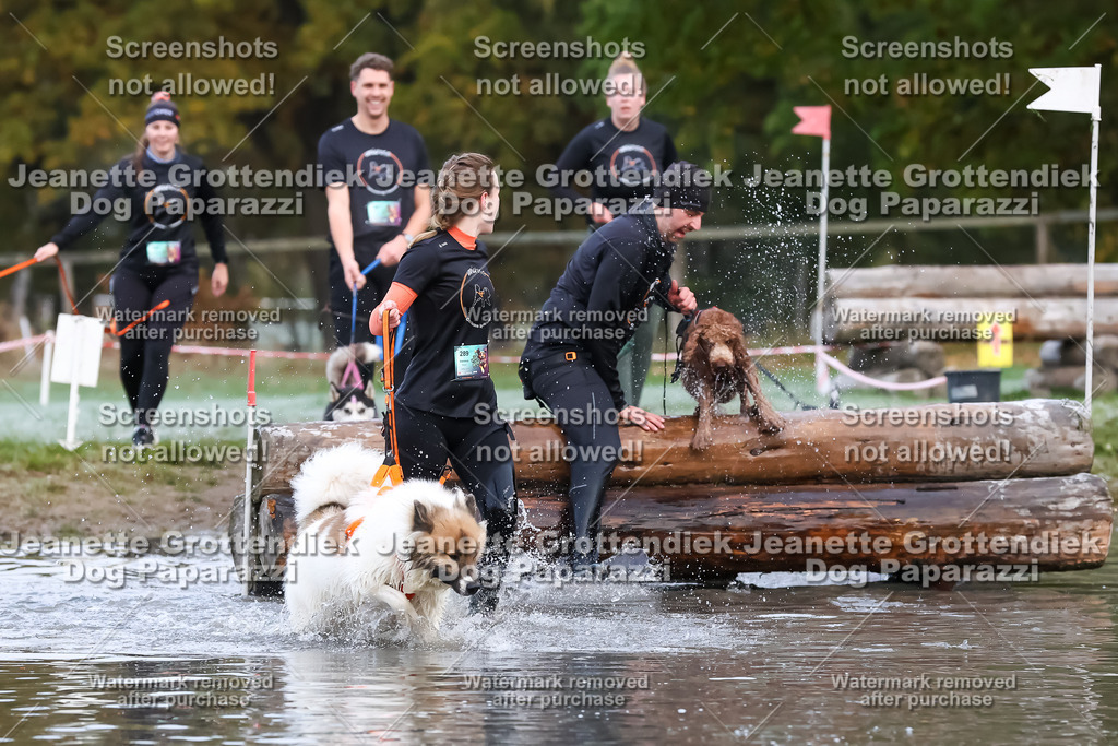 Dog Paparazzi - Strongdog 10-25-6203 | Dog Paparazzi Jeanette Grottendiek Fotografie & Videografie - Realisiert mit Pictrs.com