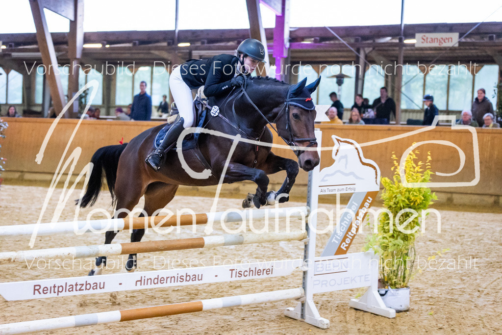 Sth-L-Springen-004 | MomenTaufnahmen Pferdesportfotos