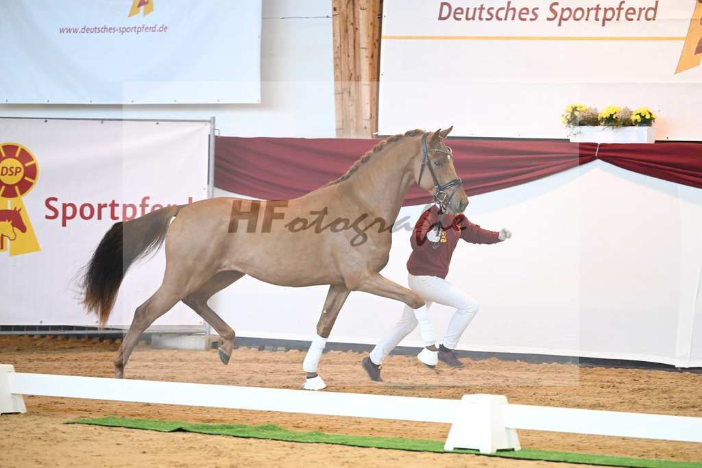 Kat-Nr. 52 v. Vaderland_Galneder_66220710 | hf-fotografie - Realisiert mit Pictrs.com