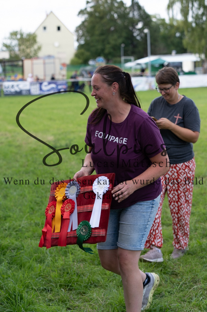 A7V03373 | Pferdefotograf