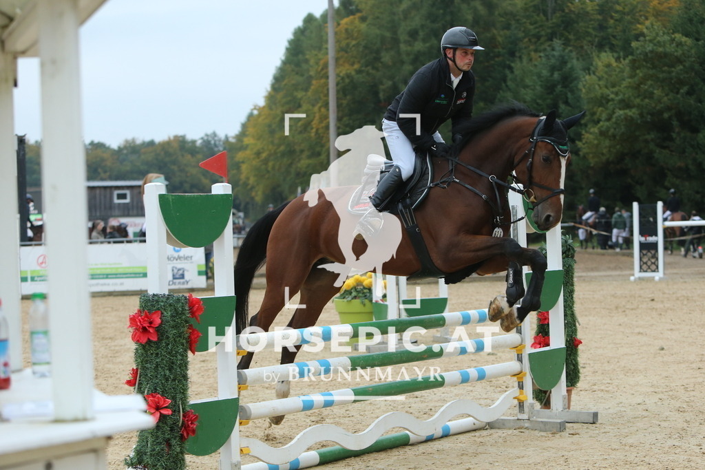 DL2Q4099 | Willkommen bei Brunnmayr - Design & Fotografie – Ihrem Spezialisten für Reitturniere und Pferdeveranstaltungen in Oberösterreich, Salzburg und Bayern! Seit über 17 Jahren sind wir leidenschaftlich dabei.