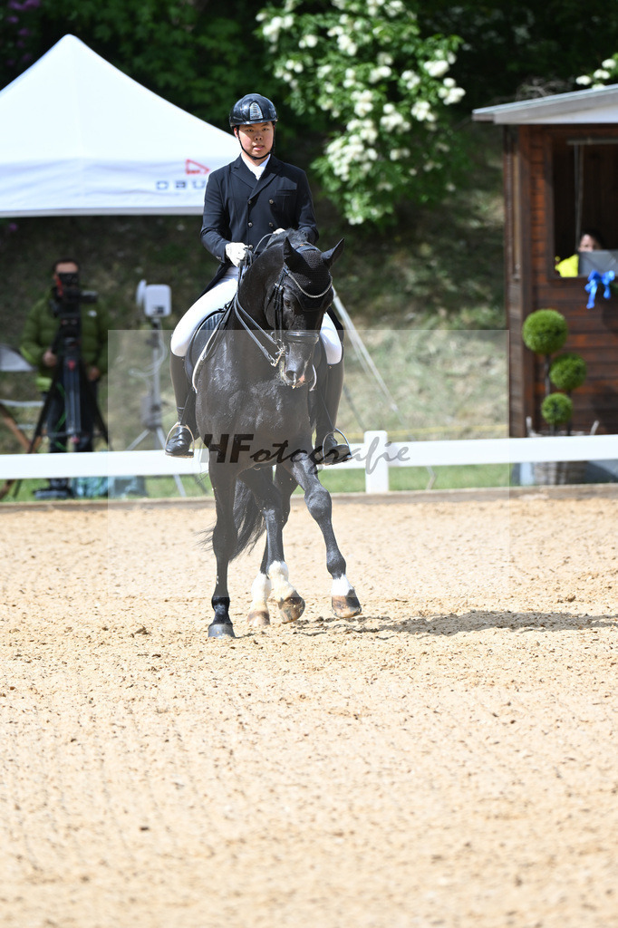Liu_Donato_26262356 | hf-fotografie - Realisiert mit Pictrs.com