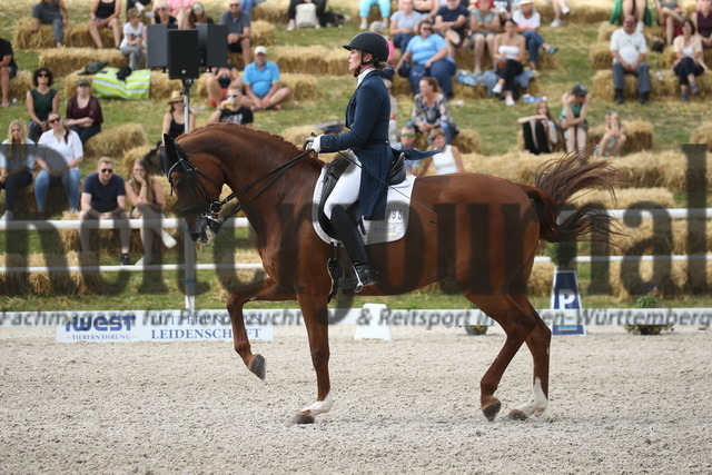 Birkhof_2022_GrandPrixSpecial_Nicole Casper_Birkhof_s Don Röschen FBW(13) | Alle Fotos der Reiterjournal Fotografin Doris Matthaes im Reiterjournal Online-Fotoshop. - Realisiert mit Pictrs.com