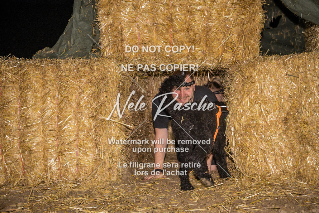 nelerasche_FrNacht_497 | nelerasche