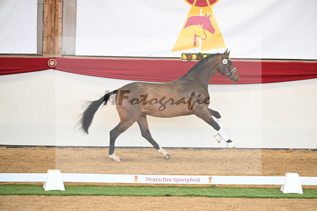 Kat.-Nr. 67 v. Fürstenball_Niehe_2250539 | hf-fotografie - Realisiert mit Pictrs.com