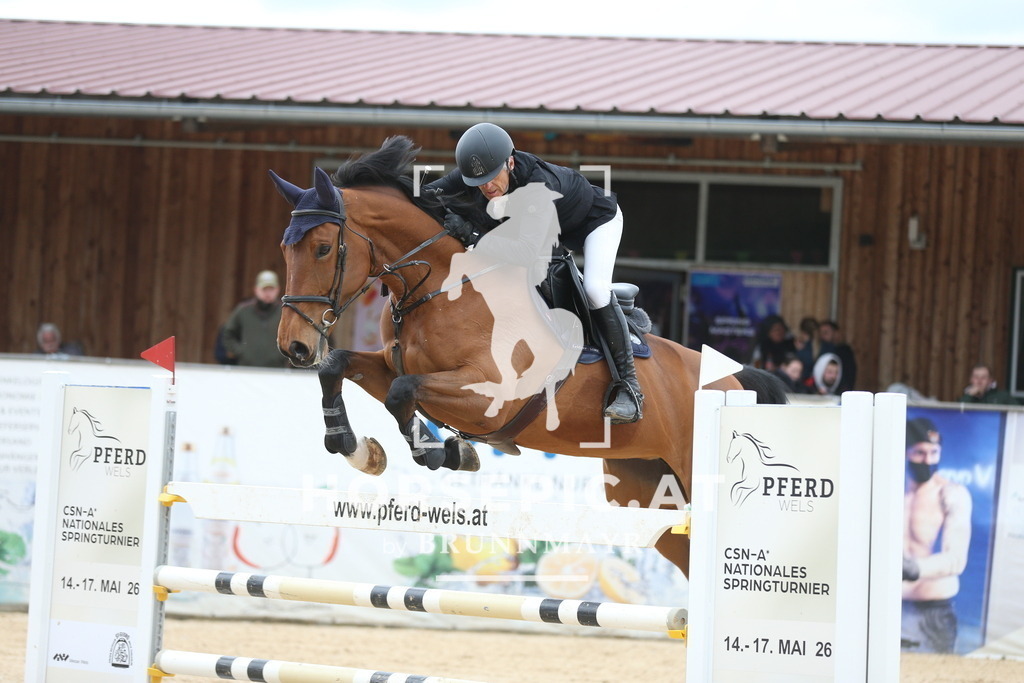 AS8V0119 | Willkommen bei Brunnmayr - Design & Fotografie – Ihrem Spezialisten für Reitturniere und Pferdeveranstaltungen in Oberösterreich, Salzburg und Bayern! Seit über 17 Jahren sind wir leidenschaftlich dabei.