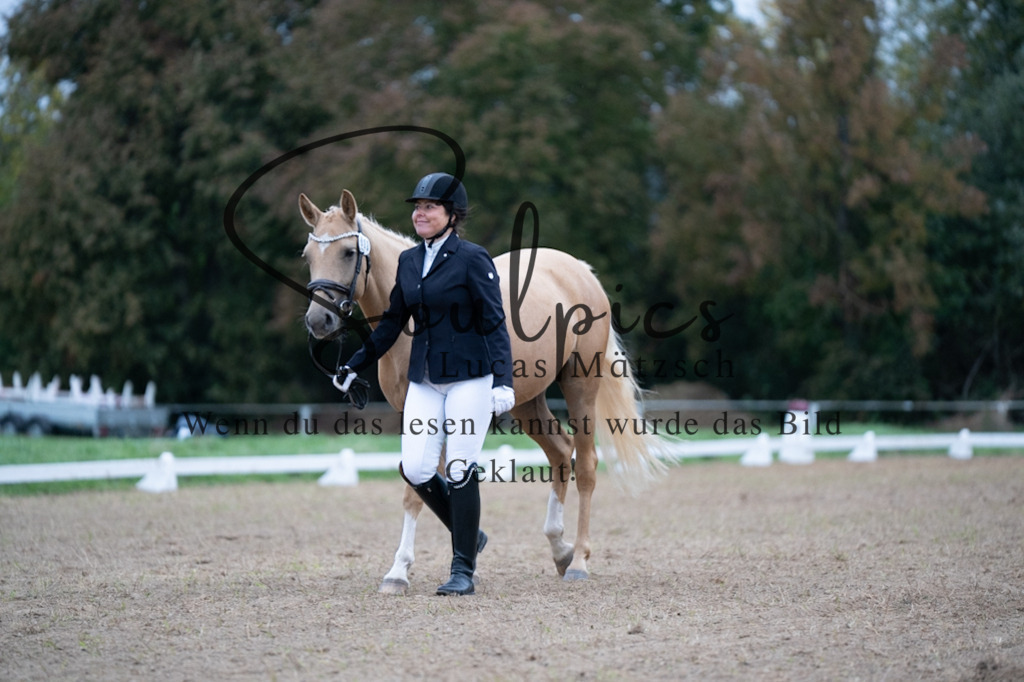 A7V04873 | Pferdefotograf