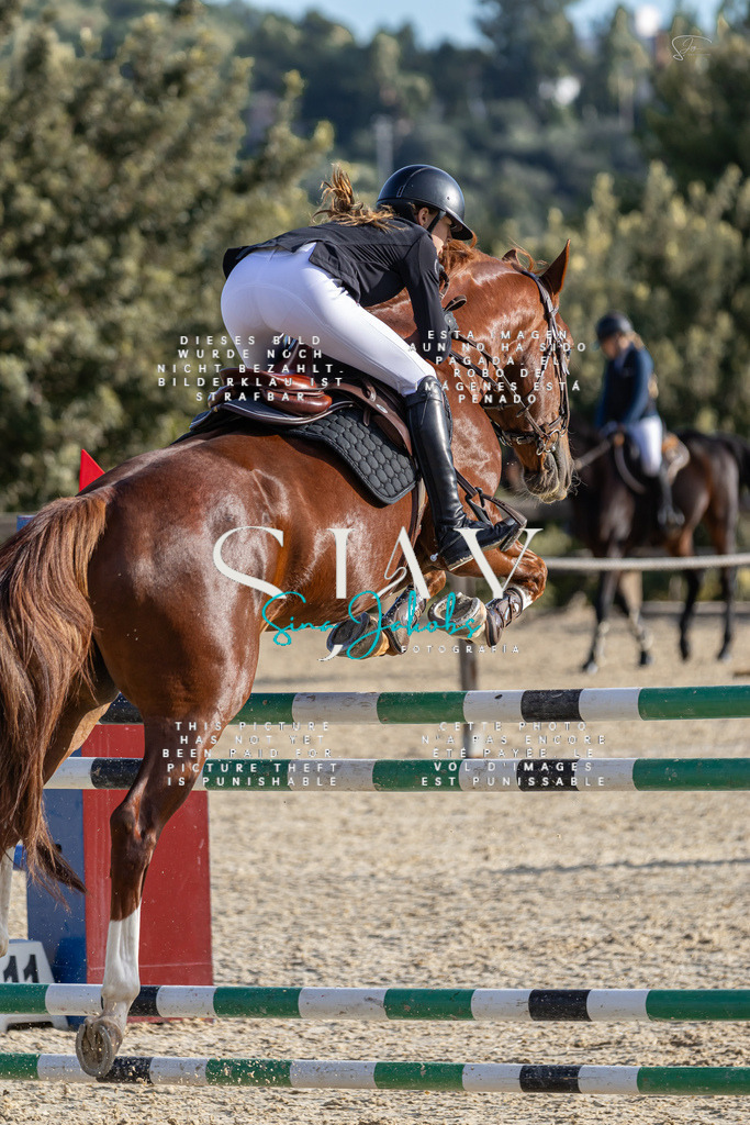 IMG_0396 | s-jay-photography - Realisiert mit Pictrs.com