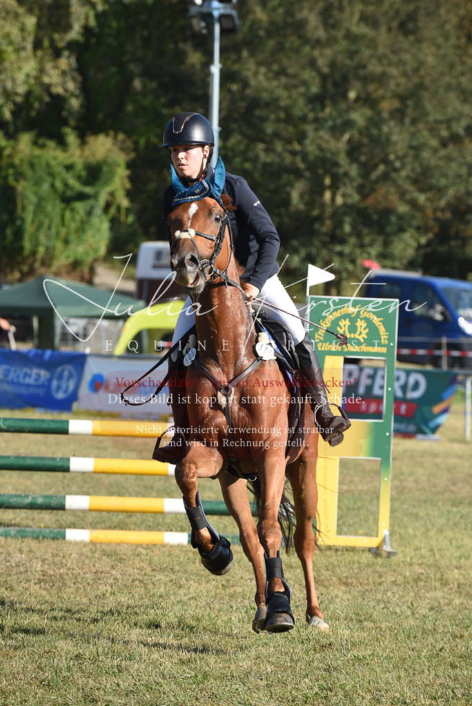 DSC_5225 | Pferde- und Turnierfotografie in Westsachsen. Pferdeportraits, Auftragszeichnungen und intuitive Kunst.