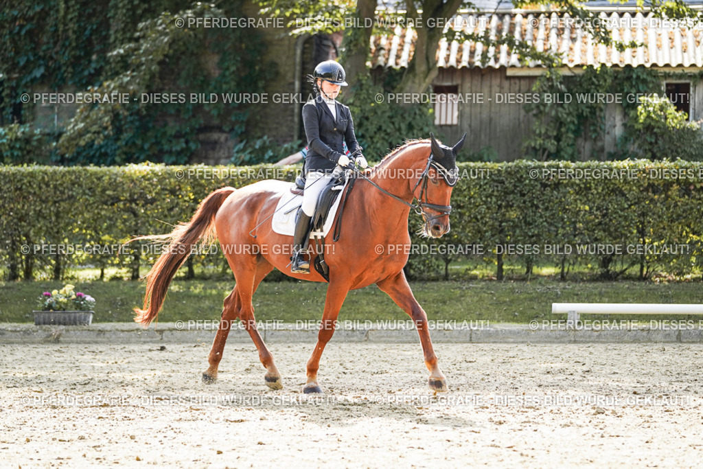 DSC08514 | Pferdegrafie