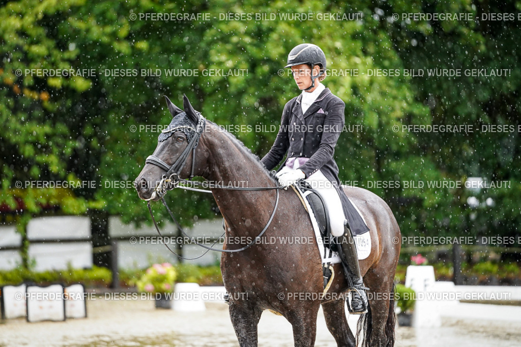 DSC08957 | Pferdegrafie