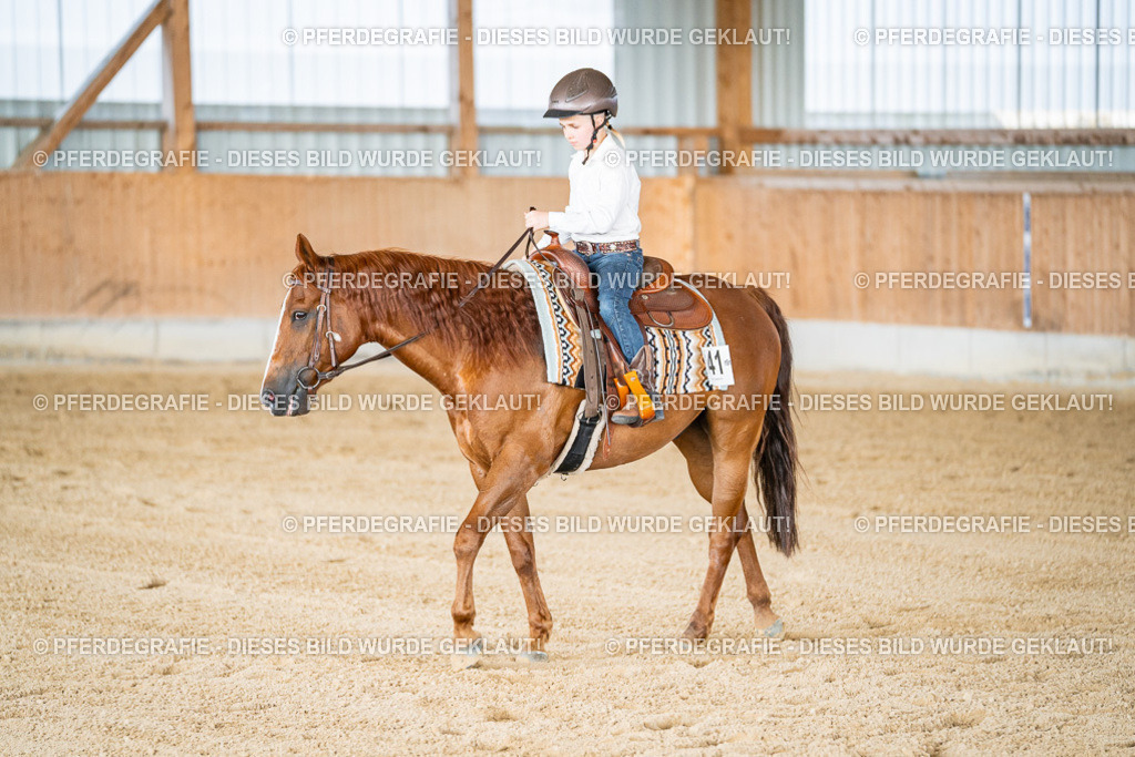 DSC09070 | Pferdegrafie