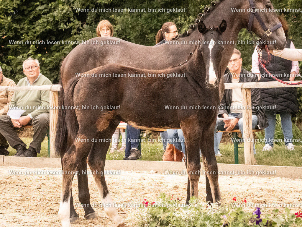 A10I1719 | photographylinaismer - Realisiert mit Pictrs.com