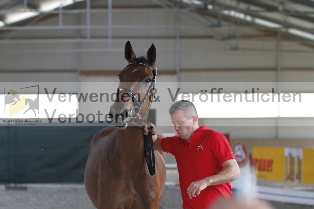 _MG_0685 | equestrian-live-com
