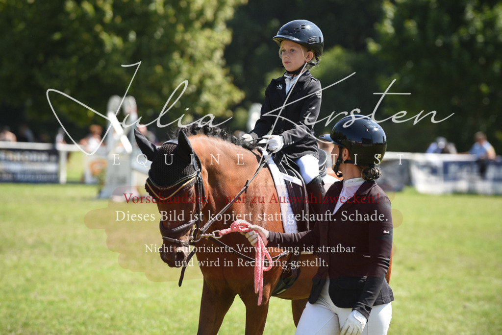 DSC_9796 | Pferde- und Turnierfotografie in Westsachsen. Pferdeportraits, Auftragszeichnungen und intuitive Kunst.