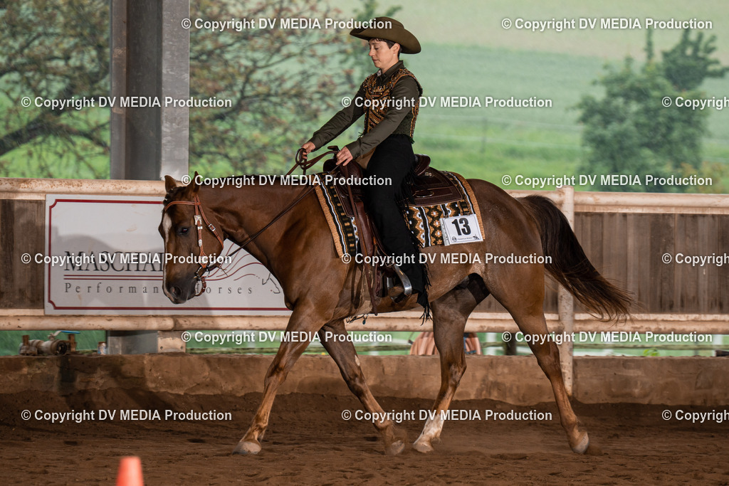 Erbach Tag 3-357 | dv-media-shop - Realisiert mit Pictrs.com