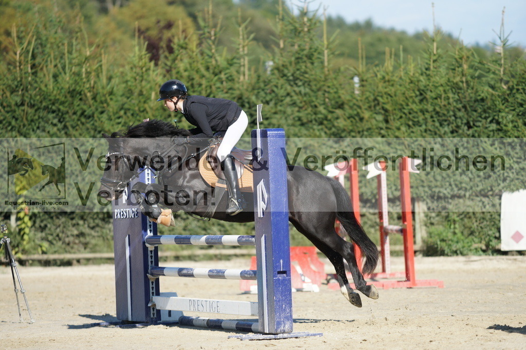 DSC09584 | equestrian-live-com